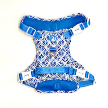 Load image into Gallery viewer, Moroccan Oasis Explorer Harness