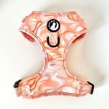 Load image into Gallery viewer, Cinnamon Swirl Harness