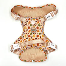 Load image into Gallery viewer, Fall In Love Bundle