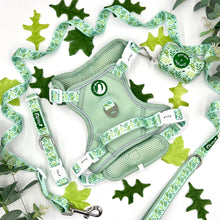 Load image into Gallery viewer, Botanical Gardens Bundle