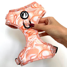 Load image into Gallery viewer, Cinnamon Swirl Harness