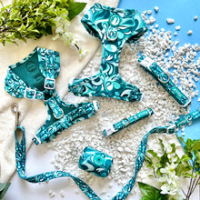 Load image into Gallery viewer, Seafoam Swirl Bundle