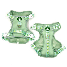 Load image into Gallery viewer, Botanical Gardens Explorer Harness