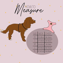 Load image into Gallery viewer, Fall In Love Bundle