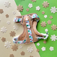 Load image into Gallery viewer, Latte Love Explorer Harness