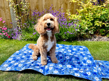 Load image into Gallery viewer, Travel Mat