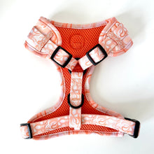 Load image into Gallery viewer, Cinnamon Swirl Harness