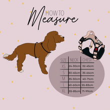 Load image into Gallery viewer, Fall In Love Bundle