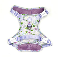 Load image into Gallery viewer, You Give Me Butterflies Explorer Harness