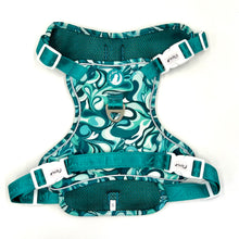 Load image into Gallery viewer, Seafoam Swirl Explorer Harness (XL)