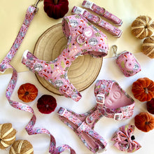 Load image into Gallery viewer, Enchanted Forest Bundle