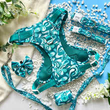 Load image into Gallery viewer, Seafoam Swirl Explorer Harness (XL)