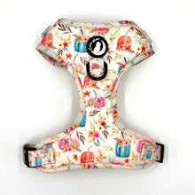 Load image into Gallery viewer, Hey There Pumpkin Harness