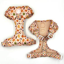 Load image into Gallery viewer, Fall In Love Harness