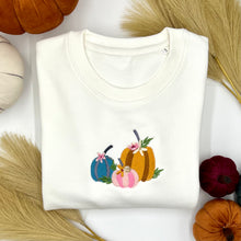 Load image into Gallery viewer, Hey There Pumpkin jumper