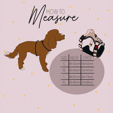 Load image into Gallery viewer, Moroccan Oasis Explorer Harness