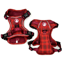 Load image into Gallery viewer, Highland Hikes Explorer Harness