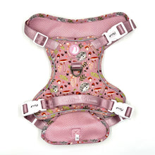 Load image into Gallery viewer, Enchanted Forest Harness