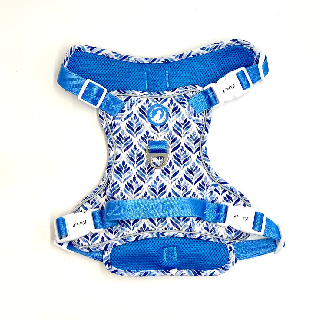 Moroccan Oasis Explorer Harness