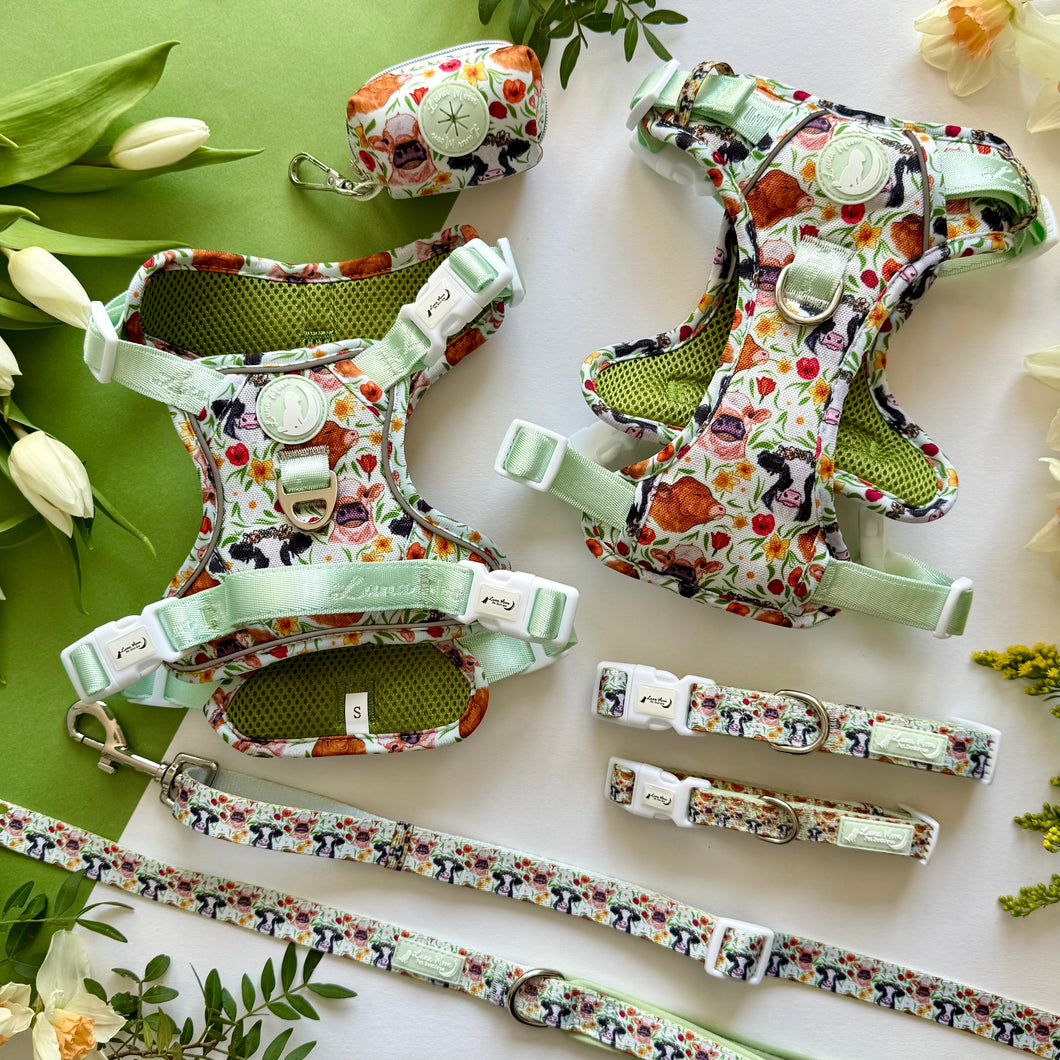 Barnyard Blooms Bundle
