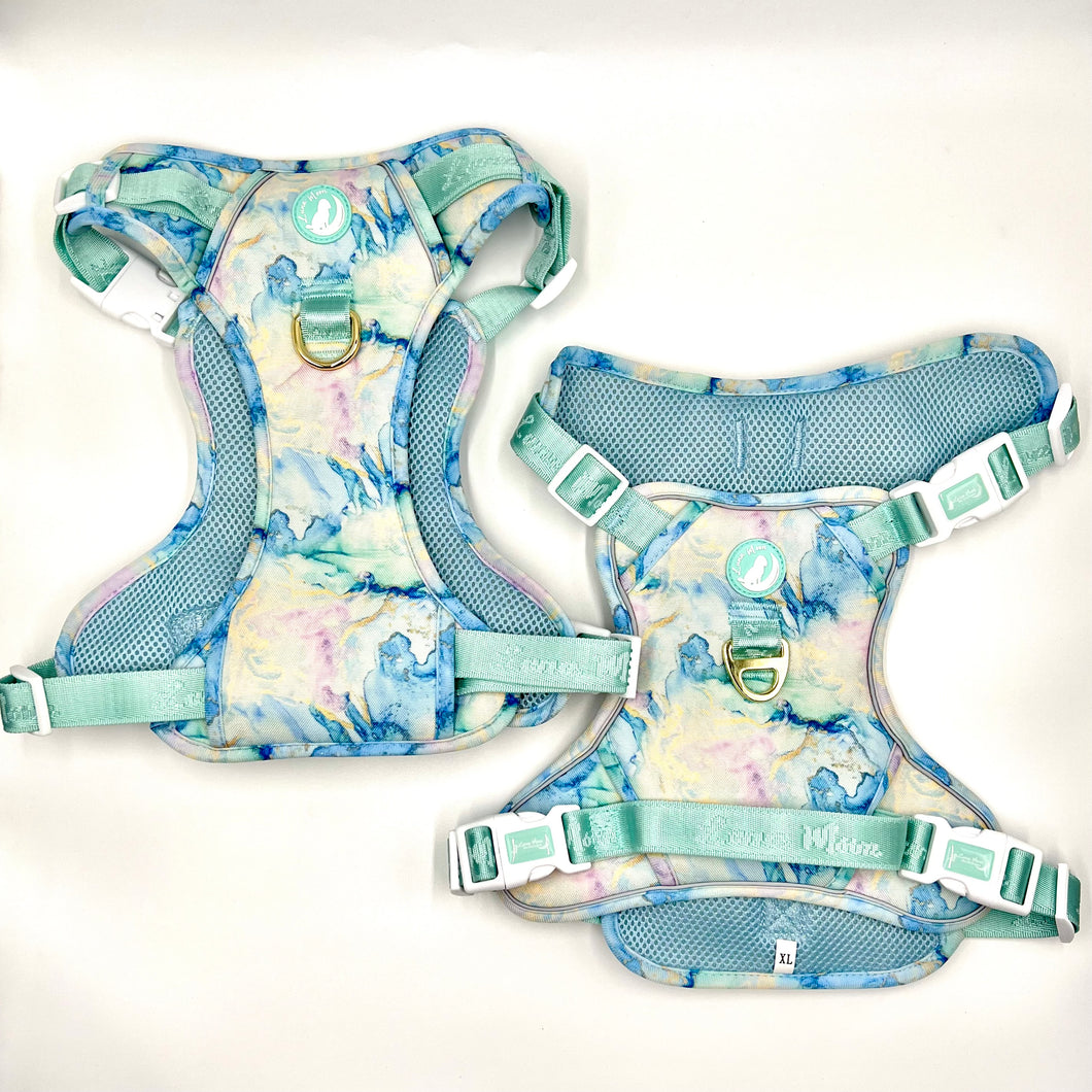 Blue Agate Explorer Harness