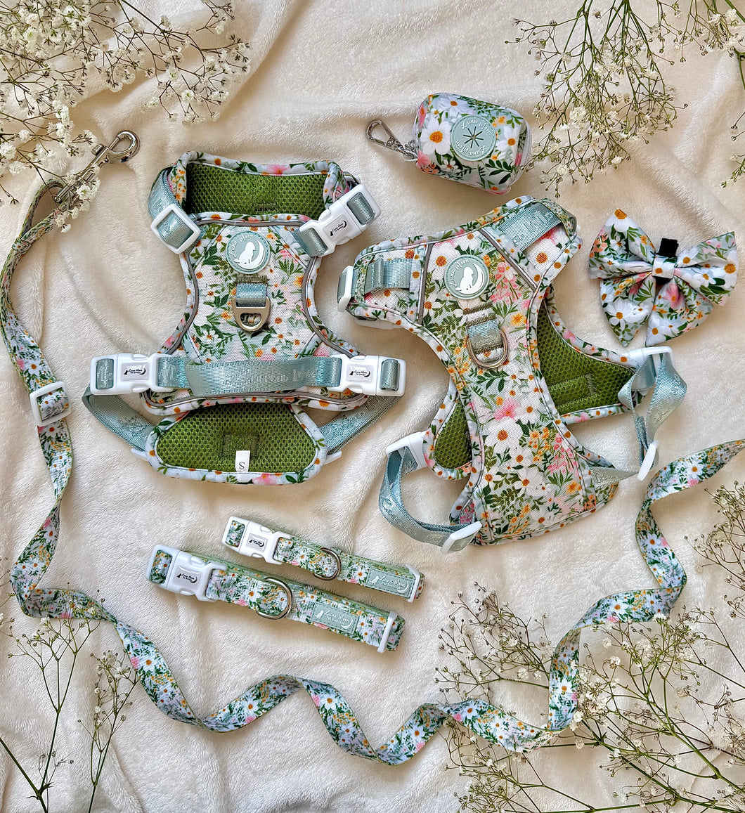 Autumn Blooms Bundle