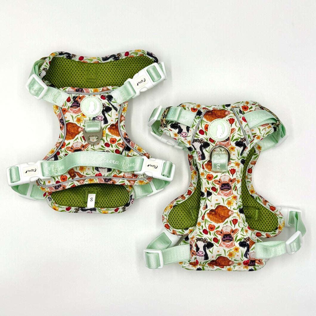Barnyard Blooms Explorer Harness