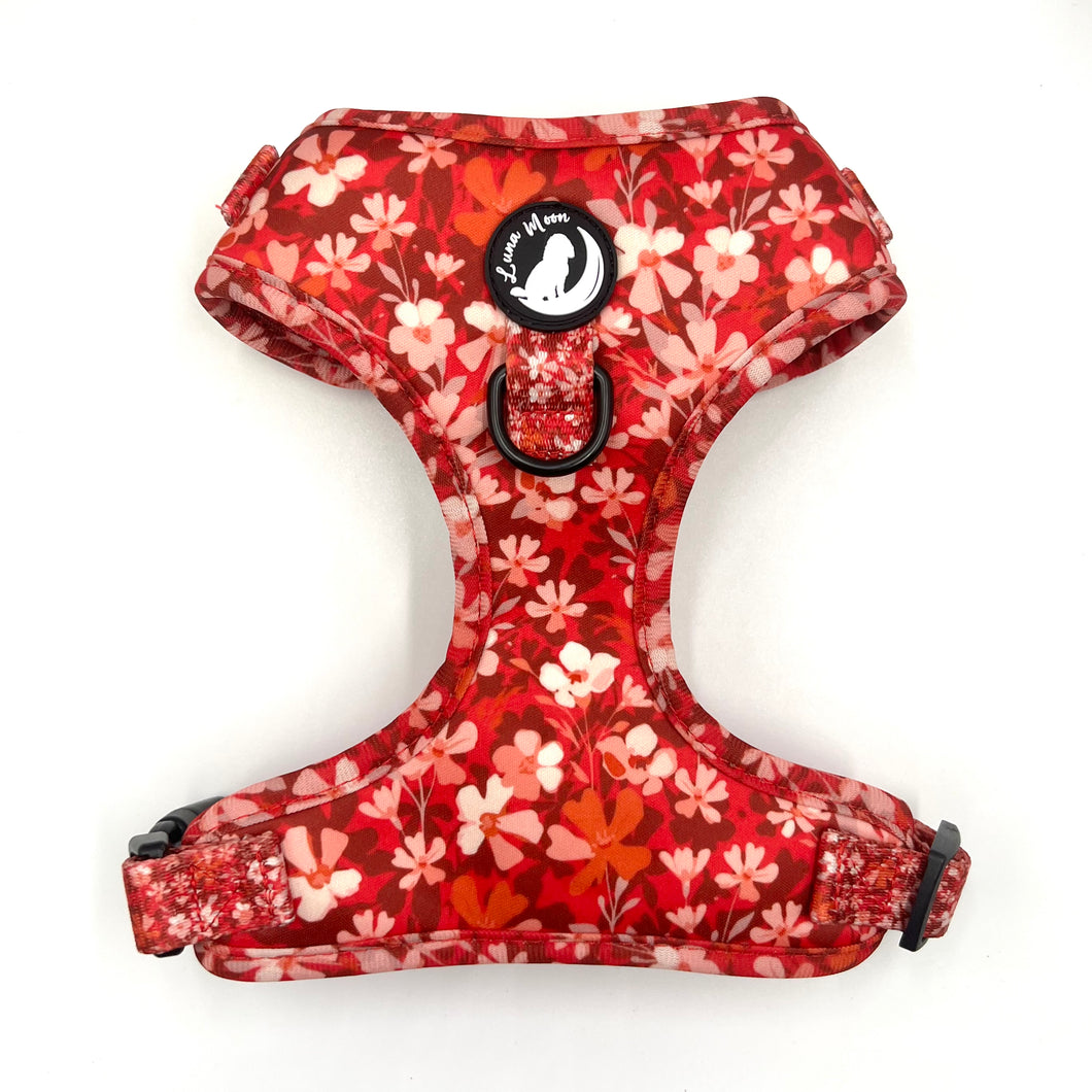 Burgundy Blooms Harness