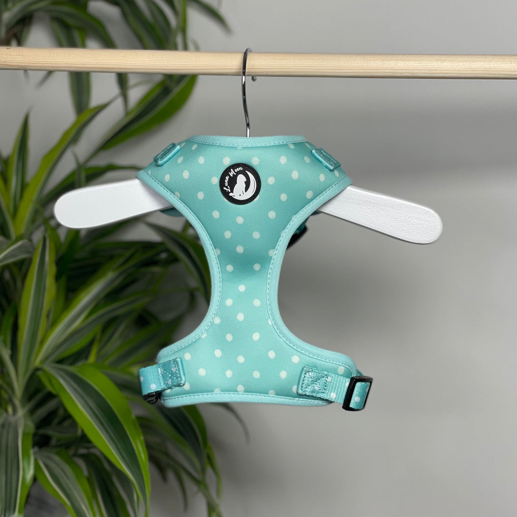 Mint Madness Harness