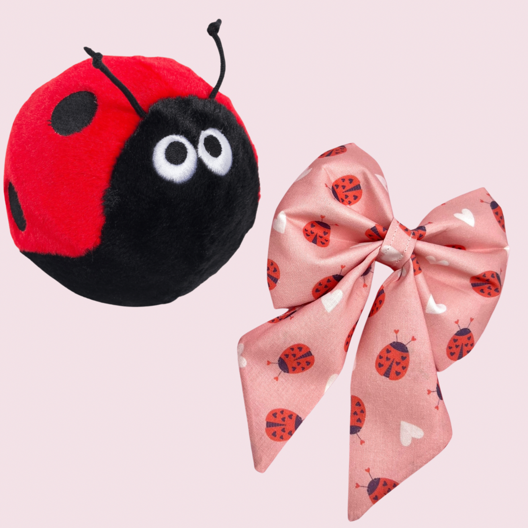 Bug & Bow Bundle