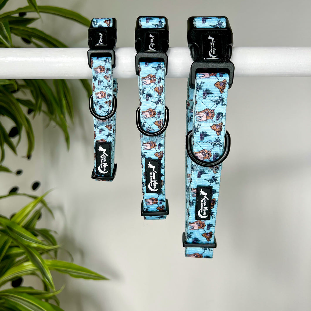 Cat Collars – Neon Moon Pet Boutique